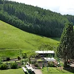 Ringwald * Steinach (Baden-Wurttemberg)