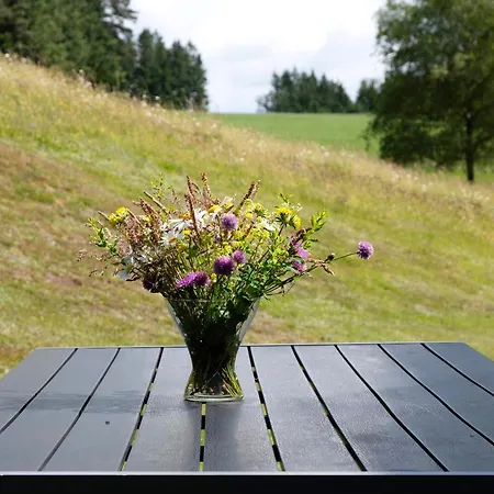 Ringwald Steinach (Baden-Wurttemberg)