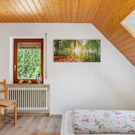 Ringwald * Steinach (Baden-Wurttemberg)