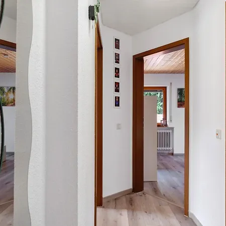 Ringwald Steinach (Baden-Wurttemberg)