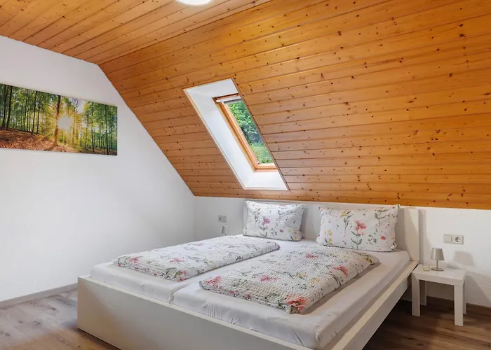 Ringwald Steinach (Baden-Wurttemberg)